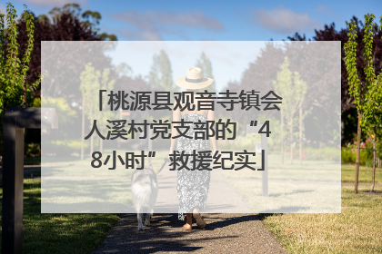 桃源县观音寺镇会人溪村党支部的“48小时”救援纪实