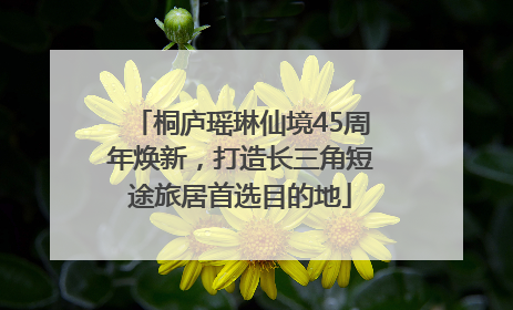 桐庐瑶琳仙境45周年焕新，打造长三角短途旅居首选目的地