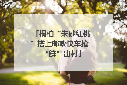 桐柏“朱砂红桃”搭上邮政快车抢“鲜”出村