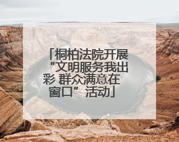 桐柏法院开展“文明服务我出彩 群众满意在窗口”活动
