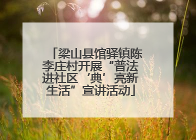 梁山县馆驿镇陈李庄村开展“普法进社区‘典’亮新生活”宣讲活动