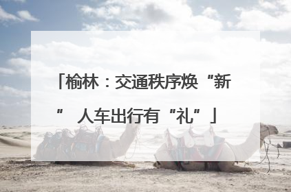 榆林：交通秩序焕“新” 人车出行有“礼”