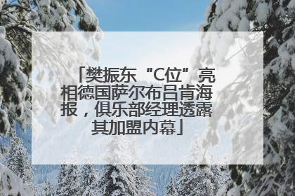 樊振东“C位”亮相德国萨尔布吕肯海报，俱乐部经理透露其加盟内幕