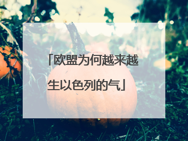 欧盟为何越来越生以色列的气