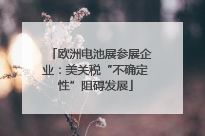 欧洲电池展参展企业：美关税“不确定性”阻碍发展