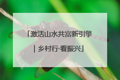 激活山水共富新引擎｜乡村行·看振兴