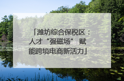 潍坊综合保税区：人才“强磁场” 赋能跨境电商新活力