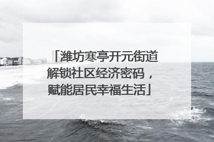 潍坊寒亭开元街道解锁社区经济密码，赋能居民幸福生活