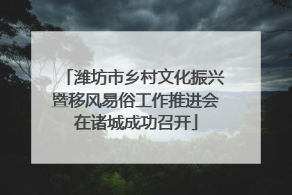 潍坊市乡村文化振兴暨移风易俗工作推进会在诸城成功召开