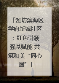 潍坊滨海区学府新城社区：红色引领 强基赋能 共筑和美“同心圆”