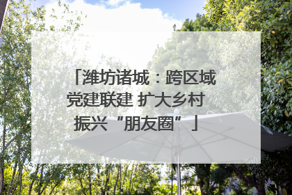 潍坊诸城：跨区域党建联建 扩大乡村振兴“朋友圈”
