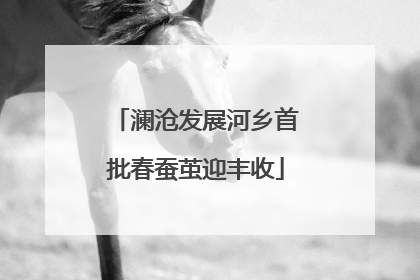 澜沧发展河乡首批春蚕茧迎丰收