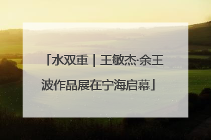 水双重｜王敏杰·余王波作品展在宁海启幕