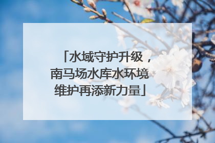水域守护升级，南马场水库水环境维护再添新力量