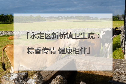 永定区新桥镇卫生院：粽香传情 健康相伴