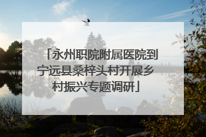 永州职院附属医院到宁远县桑梓头村开展乡村振兴专题调研