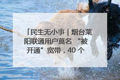 民生无小事｜烟台莱阳联通用户莫名 “被开通”宽带，40 个月扣费无人知