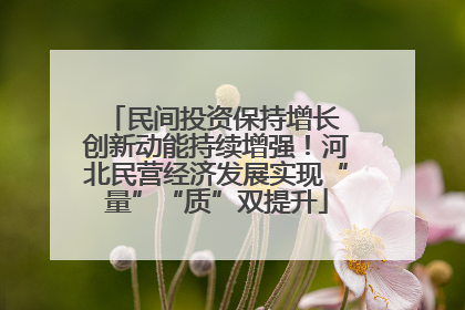 民间投资保持增长 创新动能持续增强！河北民营经济发展实现“量”“质”双提升
