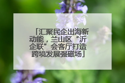 汇聚民企出海新动能，兰山区“沂企联”会客厅打造跨境发展强磁场