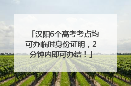 汉阳6个高考考点均可办临时身份证明，2分钟内即可办结！