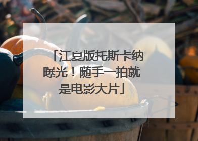 江夏版托斯卡纳曝光！随手一拍就是电影大片