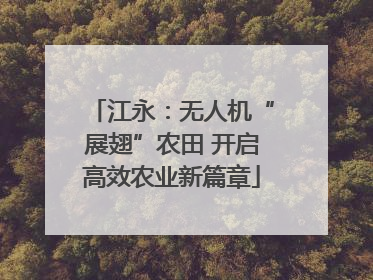 江永：无人机“展翅”农田 开启高效农业新篇章