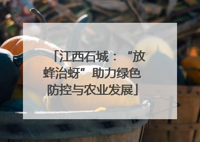 江西石城：“放蜂治蚜”助力绿色防控与农业发展
