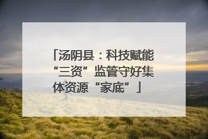 汤阴县：科技赋能“三资”监管守好集体资源“家底”