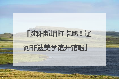 沈阳新增打卡地！辽河非遗美学馆开馆啦