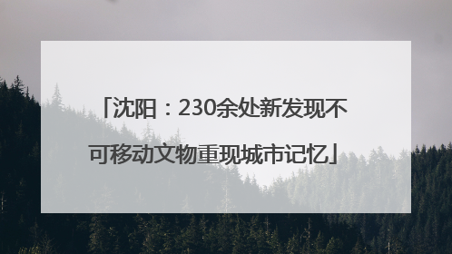 沈阳：230余处新发现不可移动文物重现城市记忆