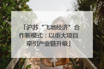 沪苏“飞地经济”合作新模式：以重大项目牵引产业链升级