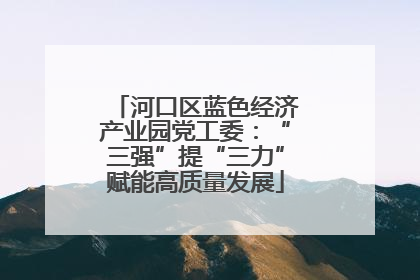 河口区蓝色经济产业园党工委：“三强”提“三力”赋能高质量发展