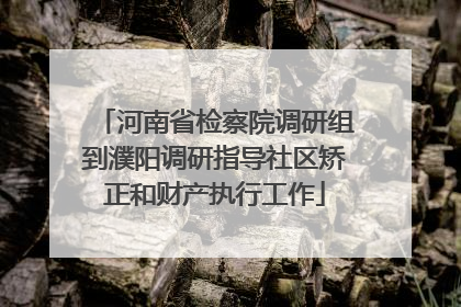 河南省检察院调研组到濮阳调研指导社区矫正和财产执行工作