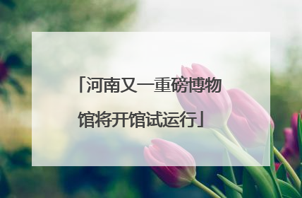 河南又一重磅博物馆将开馆试运行