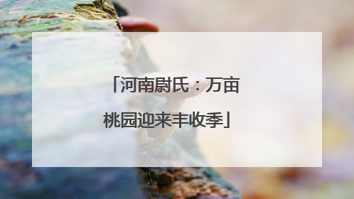 河南尉氏：万亩桃园迎来丰收季