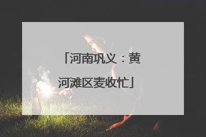 河南巩义：黄河滩区麦收忙