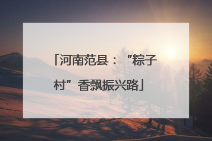河南范县：“粽子村”香飘振兴路