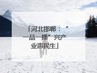 河北邯郸：“一品一播”兴产业惠民生