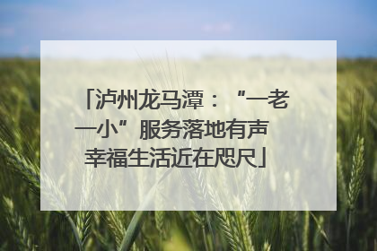 泸州龙马潭：“一老一小”服务落地有声 幸福生活近在咫尺