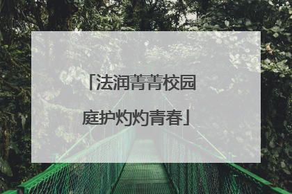 法润菁菁校园 庭护灼灼青春