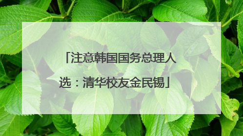 注意韩国国务总理人选：清华校友金民锡
