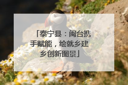 泰宁县：闽台携手赋能，绘就乡建乡创新图景