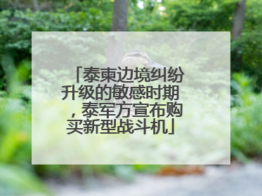 泰柬边境纠纷升级的敏感时期，泰军方宣布购买新型战斗机