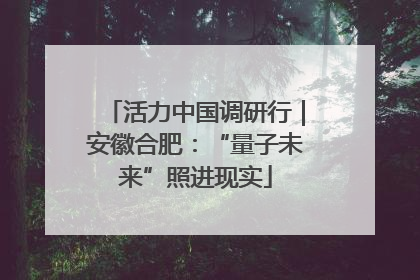 活力中国调研行｜安徽合肥：“量子未来”照进现实