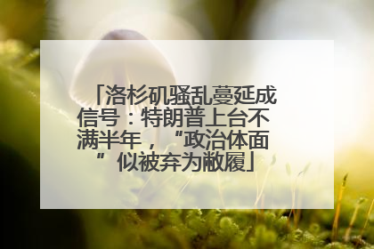 洛杉矶骚乱蔓延成信号：特朗普上台不满半年，“政治体面”似被弃为敝履