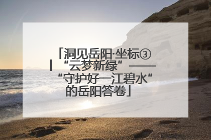 洞见岳阳·坐标③丨“云梦新绿”——“守护好一江碧水”的岳阳答卷