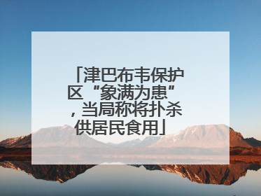 津巴布韦保护区“象满为患”，当局称将扑杀供居民食用
