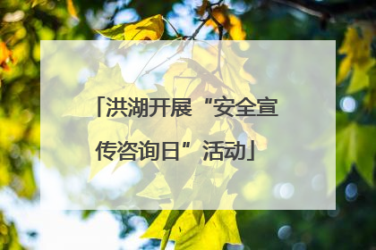 洪湖开展“安全宣传咨询日”活动