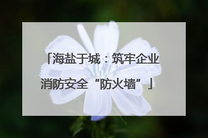 海盐于城：筑牢企业消防安全“防火墙”
