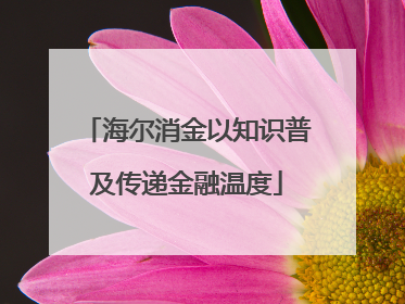海尔消金以知识普及传递金融温度